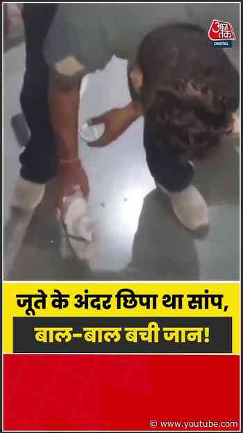 जूते के अंदर छिपा था सांप, जरा सी चूक पड़ सकती थी भारी! | #SnakeAlert #ViralVideo #Shorts