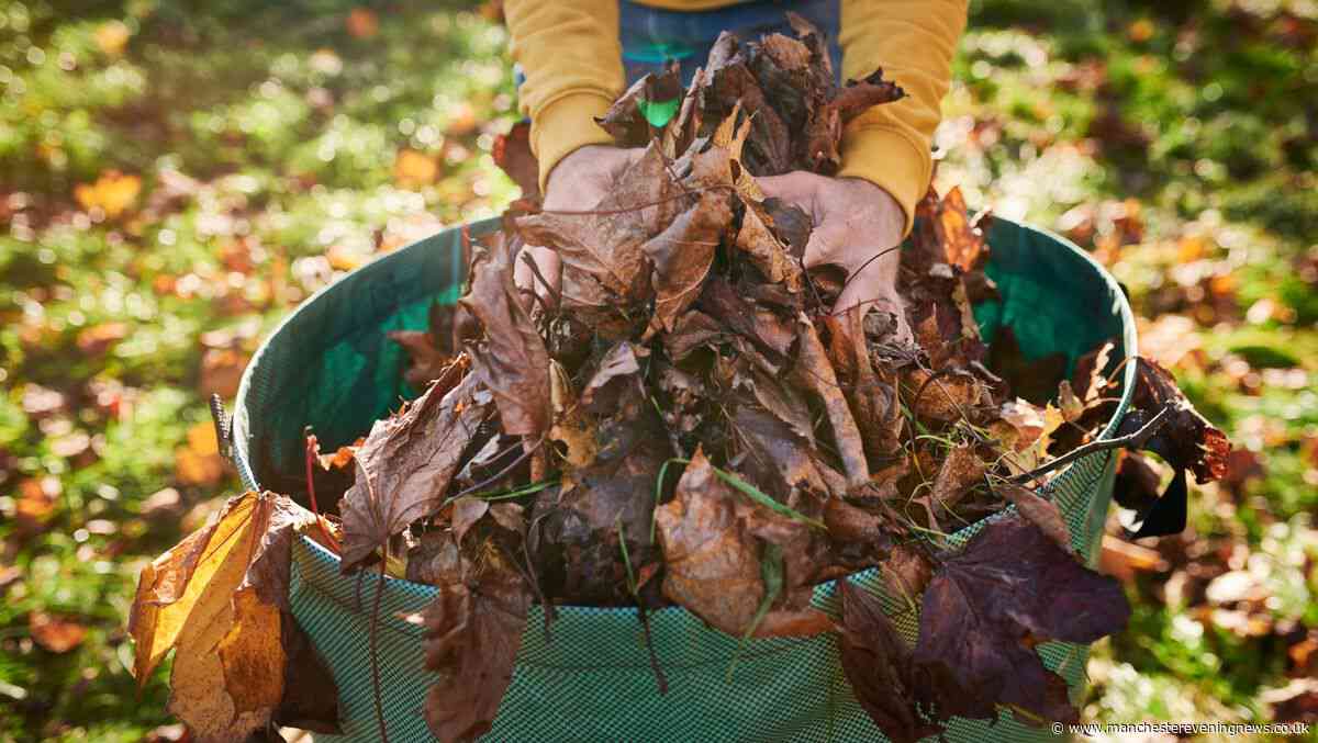 'Save' your grass from disease with this 'must-do' gardening job this week