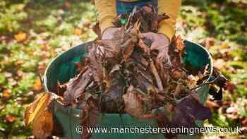 'Save' your grass from disease with this 'must-do' gardening job this week