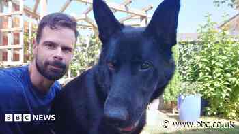 Police dog who faced knife-wielding man wins award