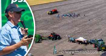 Trials show root-zone biological supplements maintain yield with less urea