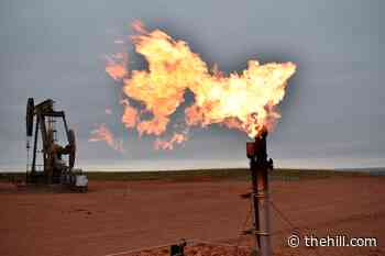 Trump to propose relaxing methane rules for oil and gas industry