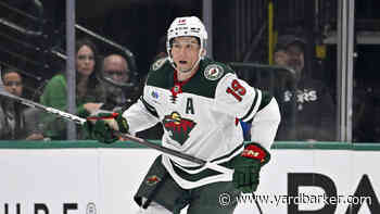 Minnesota Wild Recall Tyler Pitlick