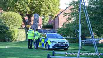 Police update as girl, 11, found dead in park and family face 'unimaginable loss'