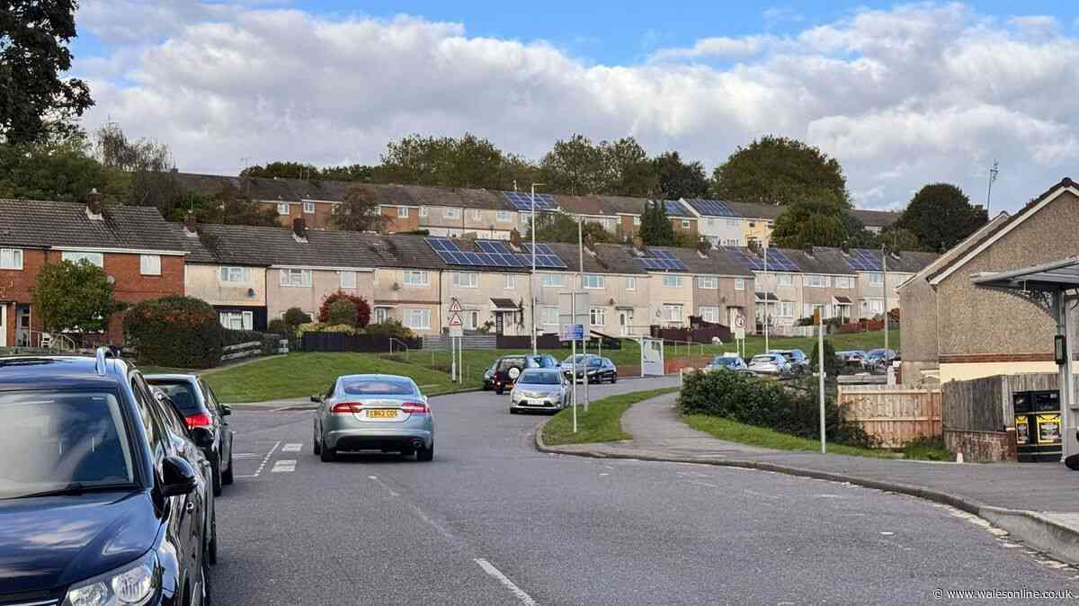 Woman bitten by dog on street in Newport