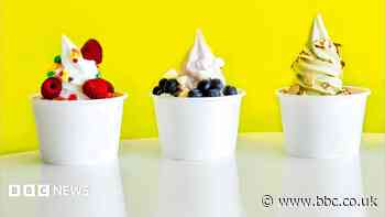 Froyo's made a comeback. But at £12 a tub will it last?