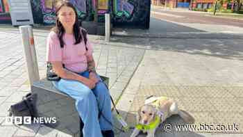 Guide dog owner says electric vehicles put lives at risk