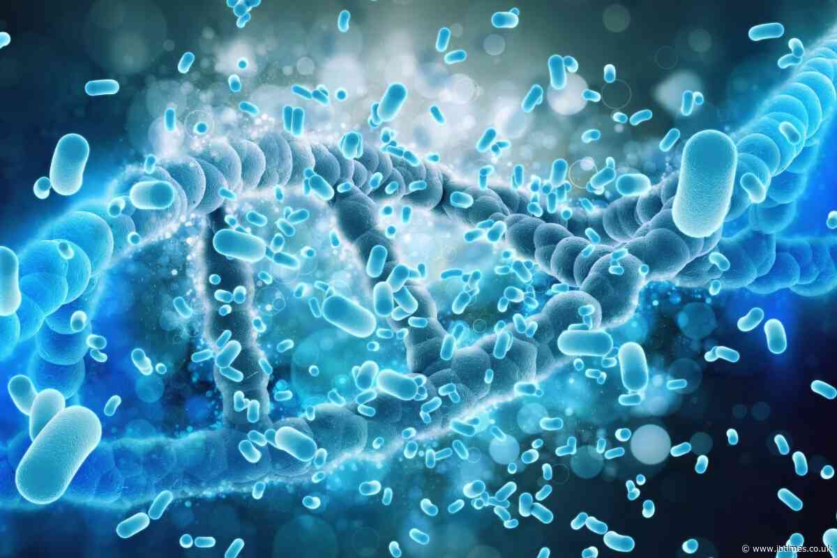 MIT Scientist Warns Russia Has 'Surely Sequenced' Mystery Pathogen After Death in Siberia but Has Yet to Identify It