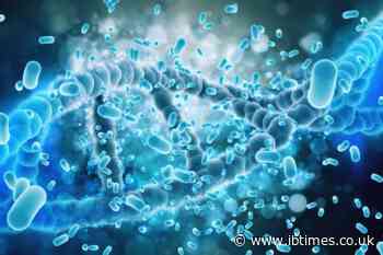 MIT Scientist Warns Russia Has 'Surely Sequenced' Mystery Pathogen After Death in Siberia but Has Yet to Identify It