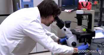 USask professor recognized for pediatric stem cell research