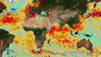 El Nino forecast update as seven areas face extreme weather chaos and 'cyclones'