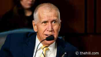 Tillis criticizes Trump advisers for work with Russia-aligned Bosnia group