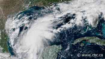 Isaias expected to become hurricane before hitting U.S. Gulf Coast, forecasters say