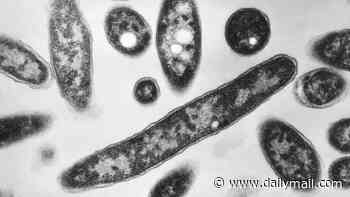 Two more cases of deadly Legionnaires' disease reported in New York... after previous outbreaks sickened 117 and killed nine this year