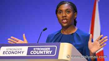 From the 'drama queens' of Reform to the 'Paddington Bear PM', we reveal the main themes of Kemi's speech