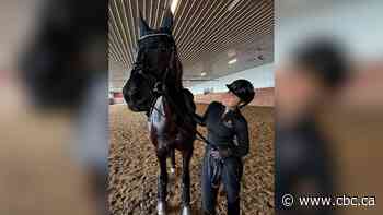 'Unimaginable loss': Horses killed on B.C. highway while travelling to championship