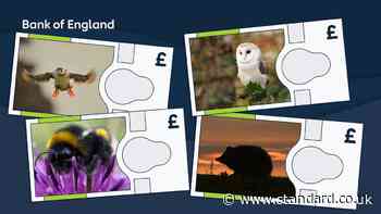 Bank of England reveals which animals will feature on its next banknotes series