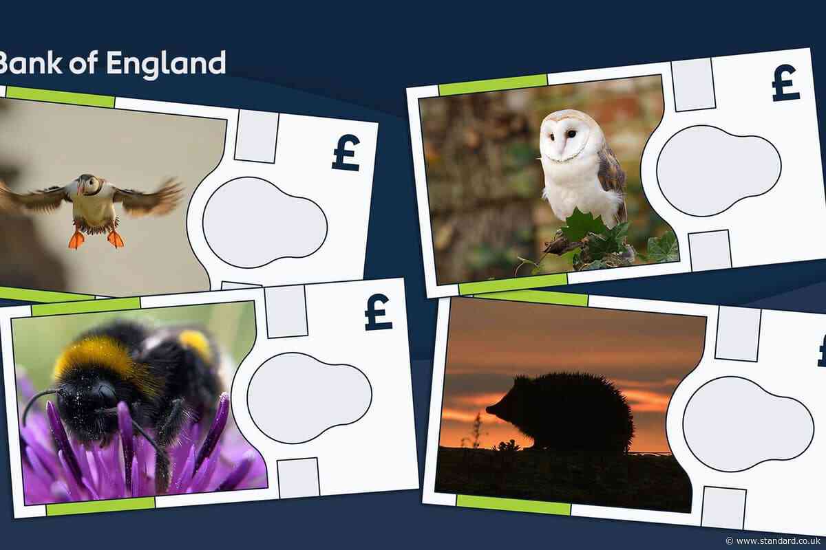 Bank of England reveals animals to feature on next banknotes