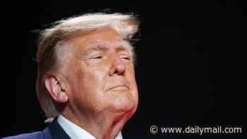 Chaos erupts at Trump rally in Texas as series of protesters disrupt president who strikes back: 'They're all paid'