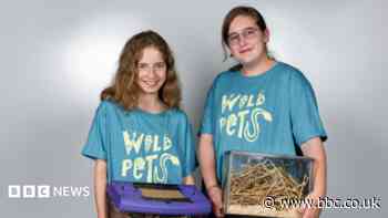 Teenagers launch project to support harvest mice