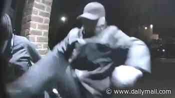 Violent traveller 'burglary squads' linked with 50 house break-ins as Met Police accused of failing to tackle crime spree