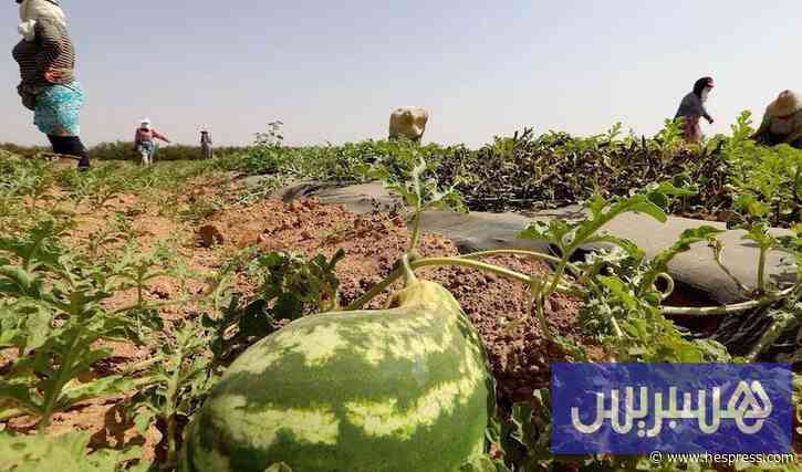 رصيف الصحافة: تحذيرات من الاستنزاف المائي 