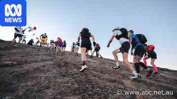 Coffee and cake or an ultramarathon? Why people run to extremes