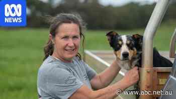 Sally 'couldn't run to the mailbox'. Now she tackles ultramarathons