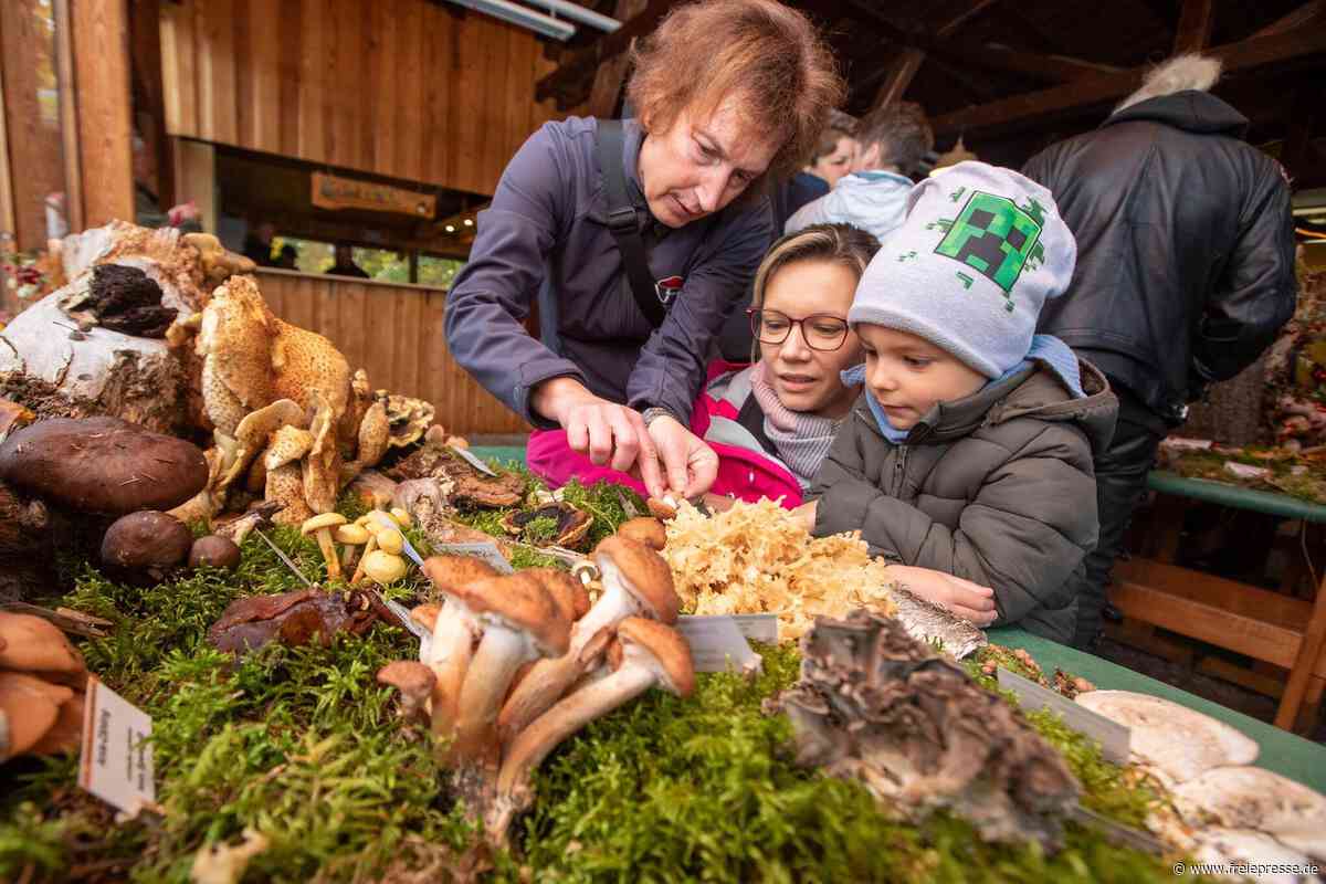 Schwammetag und vieles mehr: Die Tipps fürs Wochenende im Oberen Vogtland