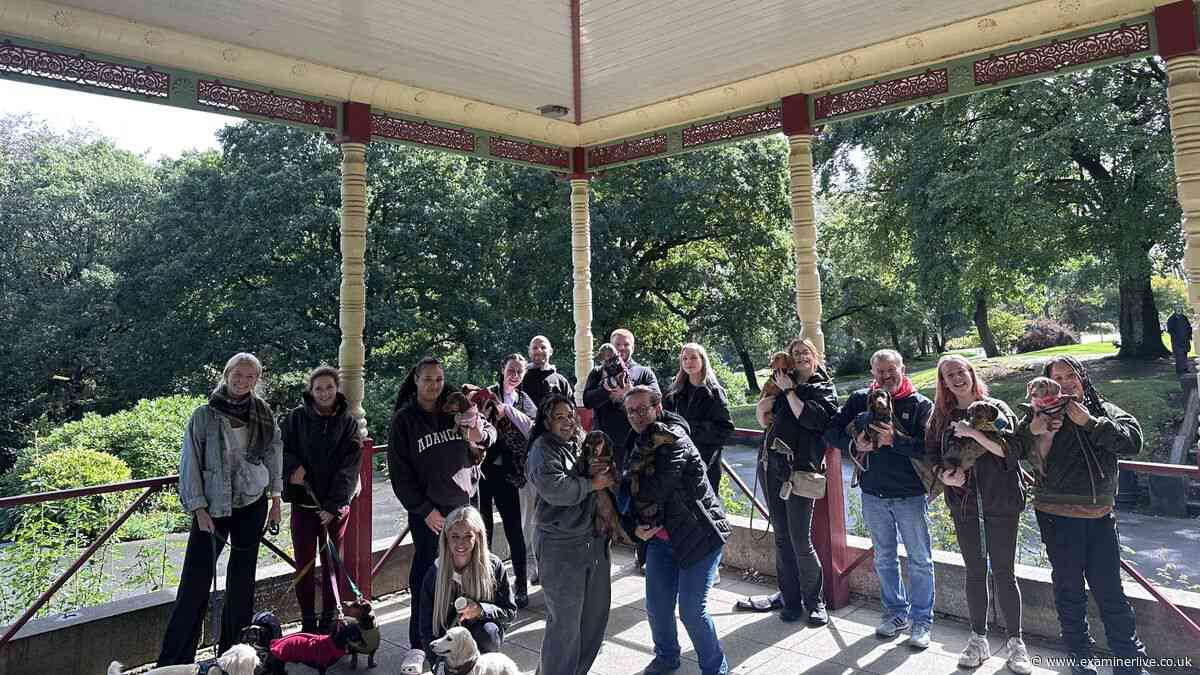Huddersfield park taken over by sausage dogs as walk keeps getting bigger