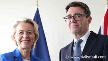 The euro's in freefall. France is going bust - fast. What a time for Andy Burnham to plot to rejoin the EU: ALEX BRUMMER