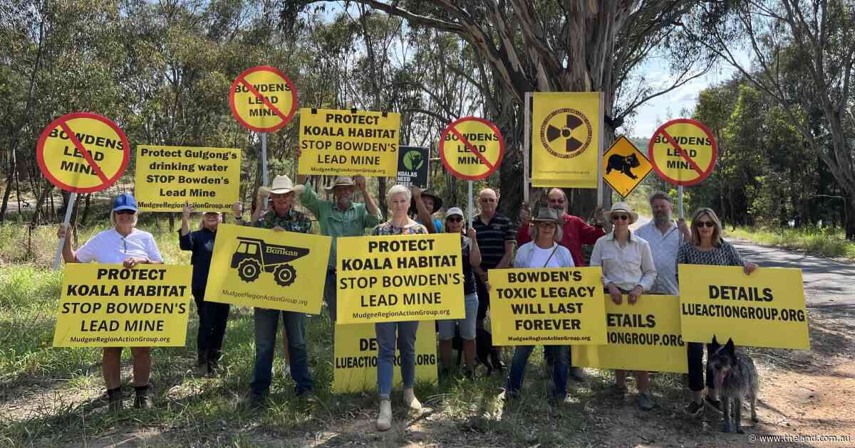 'Economic lifeblood': more than 100 submissions extend Mudgee mine hearings