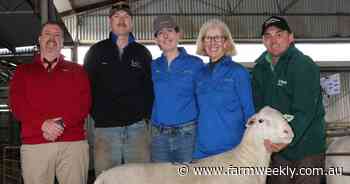 BreedersBEST ram sale collects record gross - the biggest ever recorded in WA