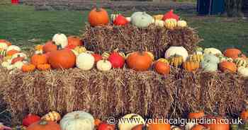 Halloween trail opens near Croydon with pumpkin patch, spooky trails and train rides