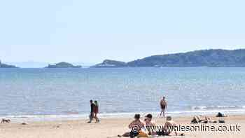 Worst beaches in Wales for sewage discharge revealed with shocking numbers at five beaches