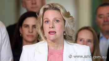 Labor ministers contradict each other over ATO credit card surcharge ban