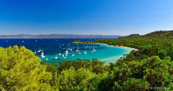 The European island with a ‘floating forest’ and 22°C weather in October