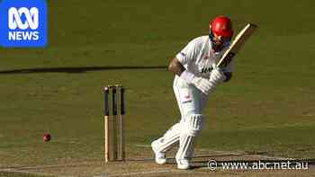Dropped Aussie opener out of Sheffield Shield match with concussion