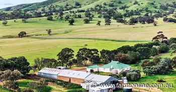 Long-held farm sells under the hammer in SA's Mid North for $2490 per acre