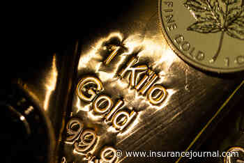 Gold Body Accused of Enabling Deaths at Tanzanian Gold Mine