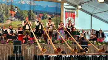 „Routiniers der Blasmusik“ spielen in der Landsberger Waldorfschule