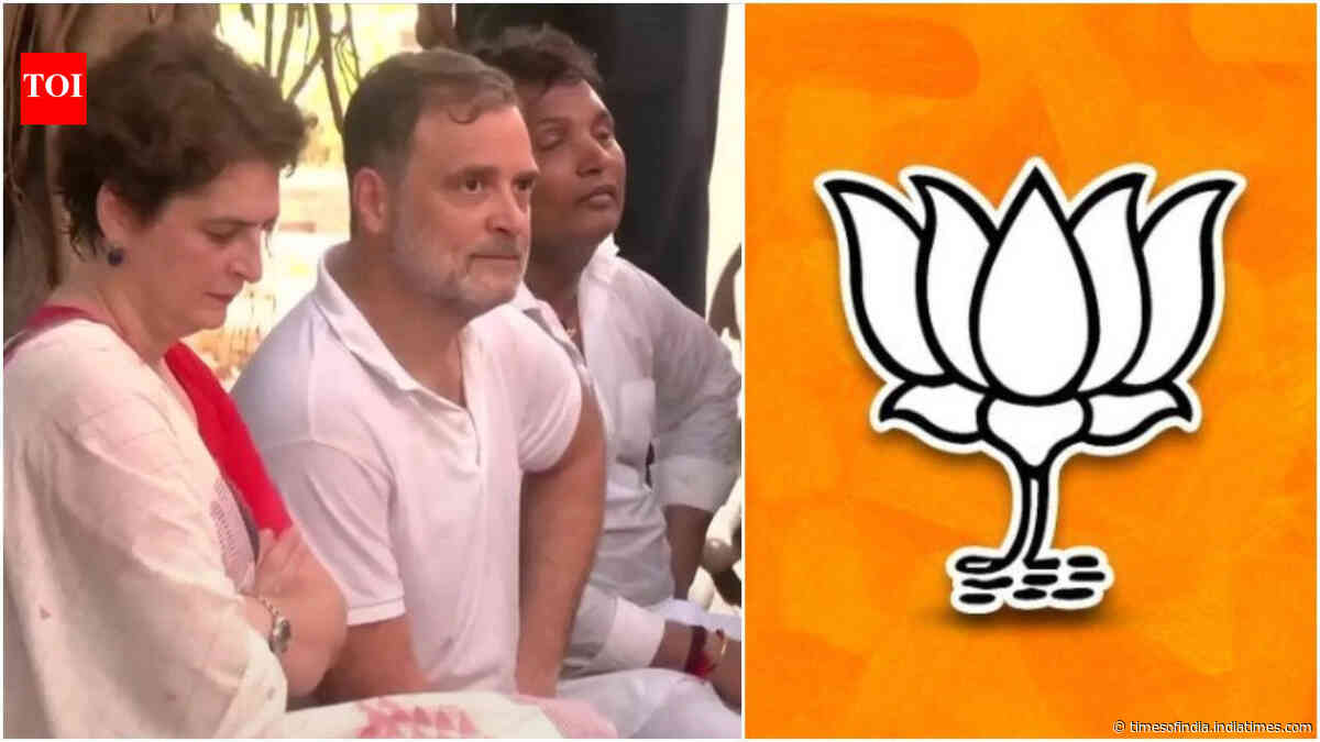 'Inappropriate': BJP turns heat on Rahul Gandhi over 'clash' with female Delhi cop during anti-CEC protest