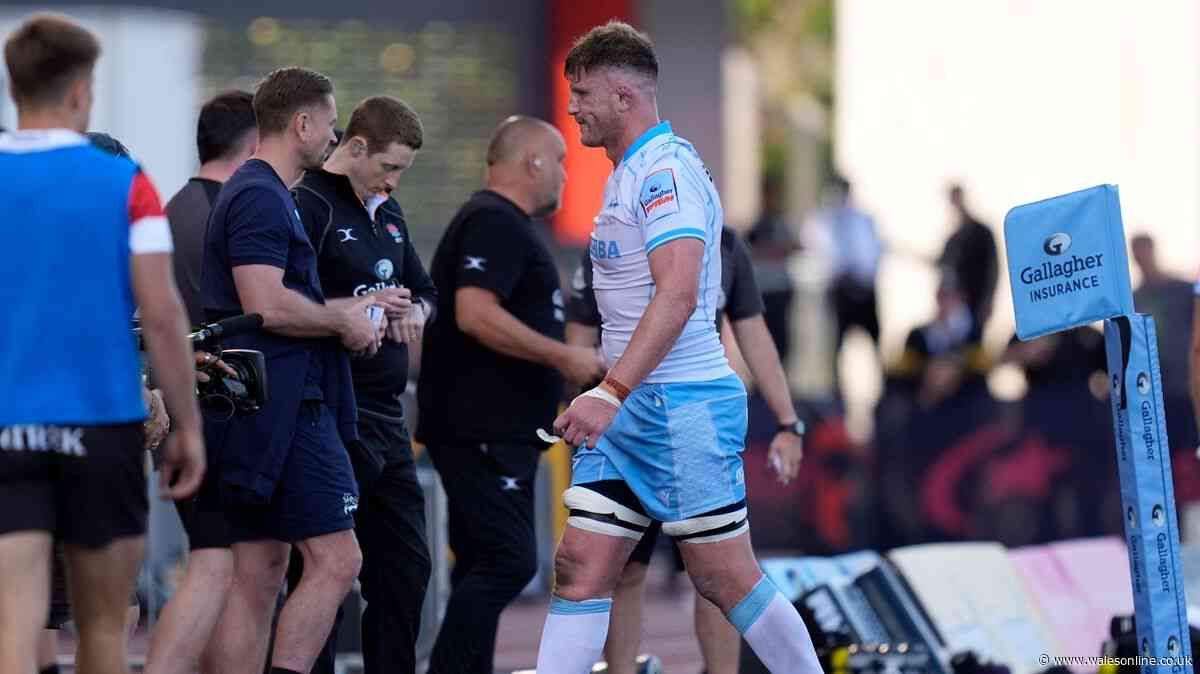 South African banned over incident with Wales star and All Blacks rocked by blow