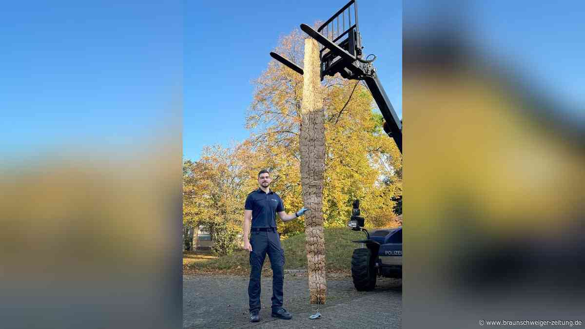 Exotischer Fund: Vier Meter lange Schlangenhaut liegt auf Gehweg in Rüningen