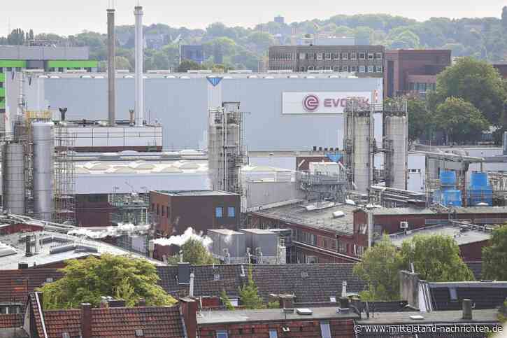 BASF-Chef Kamieth begründet Übernahmepläne für Evonik mit industrieller Logik