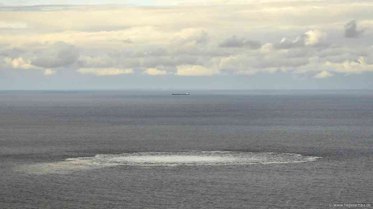 Nord-Stream-Anschlag: Diese Indizien belasten den mutmaßlichen Saboteur
