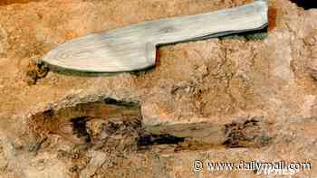 Forget stone tools! Neanderthals were master woodworkers who crafted spears, trays and even tripods, scientists discover