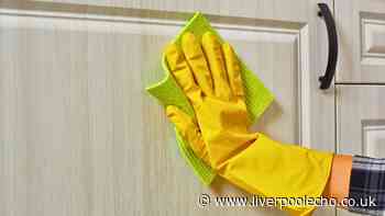 Kitchen cupboards will be clean and dust-free in 5 minutes if washed with simple kitchen item