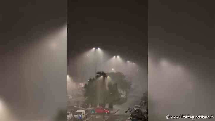 Nubifragio a Roma, fulmini nella notte e raffiche di vento: 120 interventi dei vigili del fuoco – Video