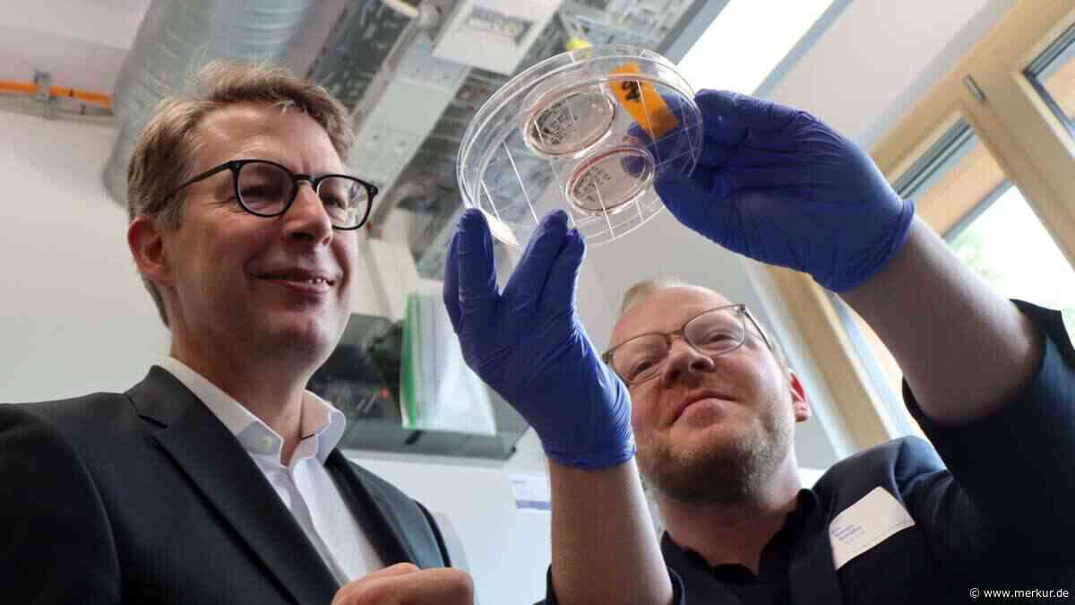 Miniatur-Organe sollen Krebstherapien verbessern: Minister Blume besucht Eröffnung des COS in Garching